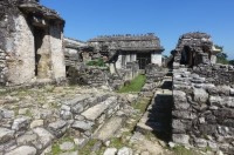 ツアーも人気の「パレンケ遺跡」でメキシコ旅行を100%楽しもう!行き方や料金や営業時間は? | wondertrip