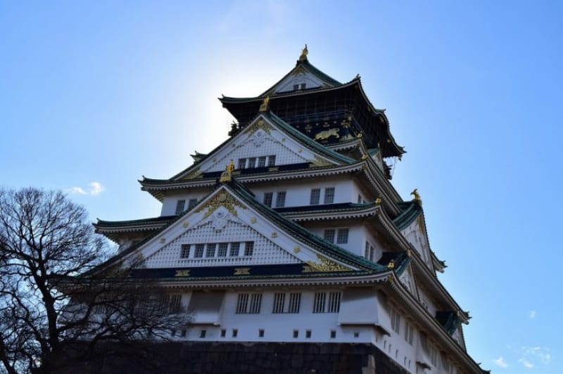 雪辱を晴らすのは今!大坂夏の陣