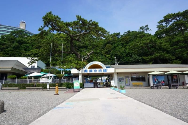99851:実は創業86年!桂浜水族館の中へ
