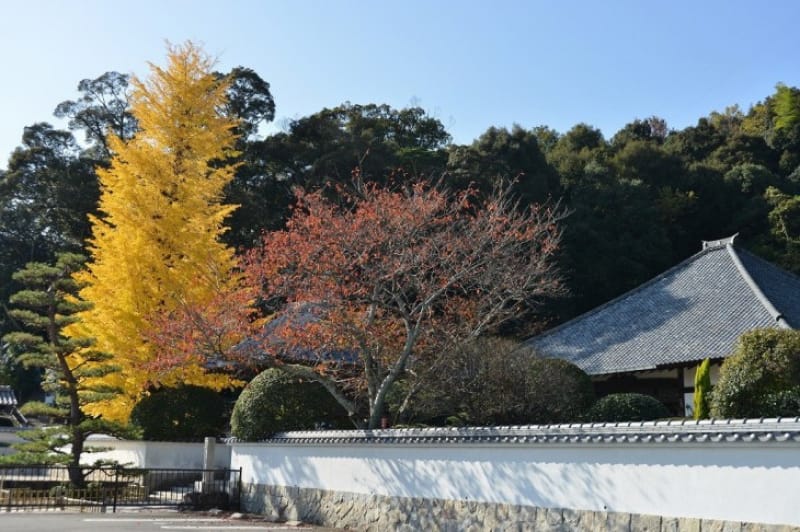 晴賢の墓は「洞雲寺」にある