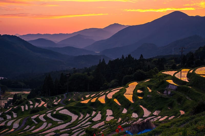 丸山千枚田の棚田/三重県