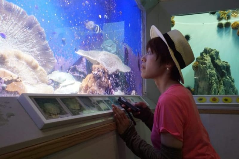 99870:さぁ、桂浜水族館へ行こう!