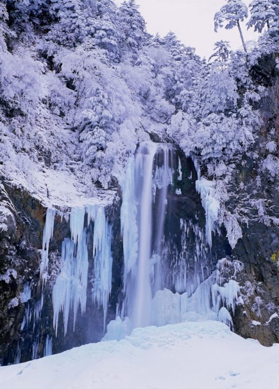 徳島の冬の旅 これをみずには終われない