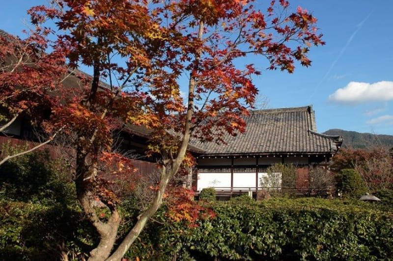 玉の輿伝説が残る・勧修寺