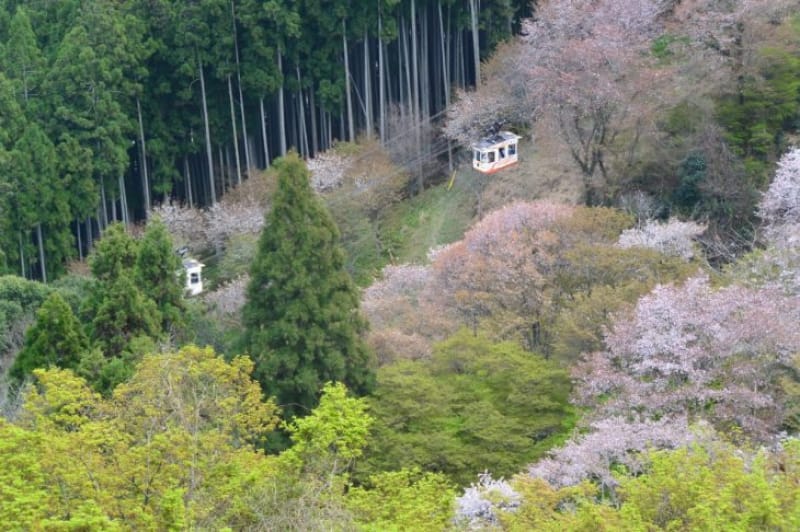 100444:ロープウェイで登るのもアリかも