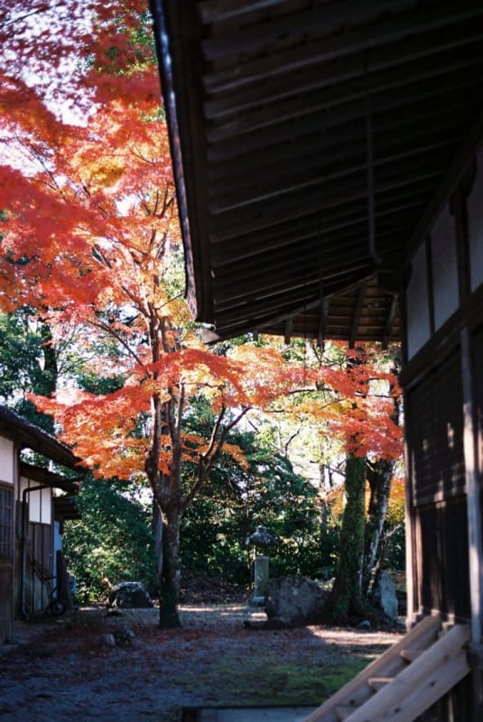 桜でも有名なスポット・吉野山(下千本)