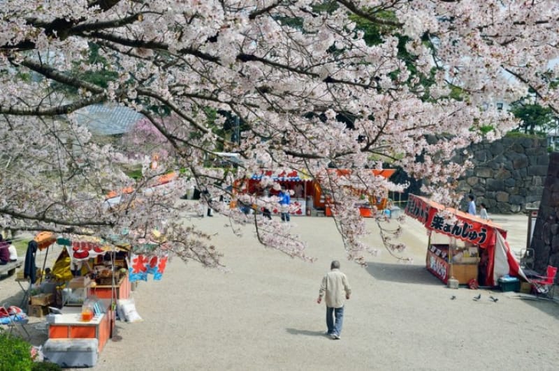 春には桜が咲き誇る「日本さくら名所100選」の一つ