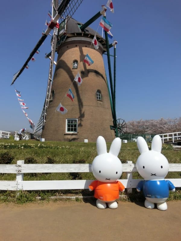 97601:あっ、ミッフィー♪可愛い写真が撮れました