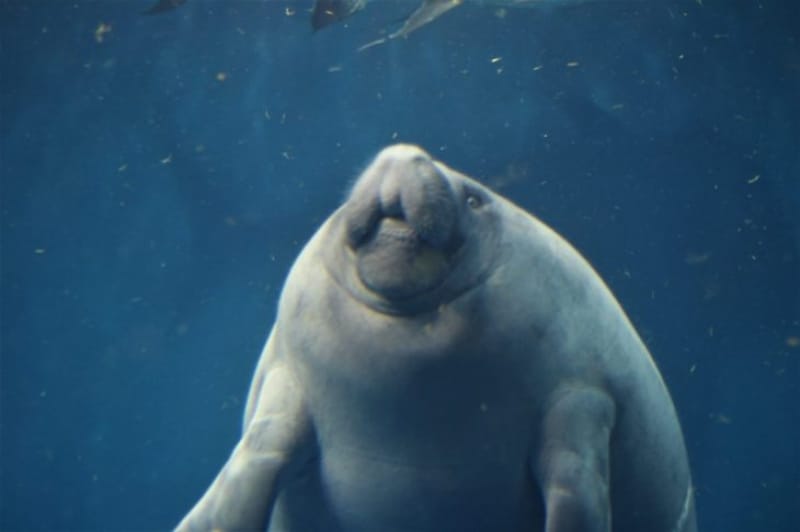 98808: