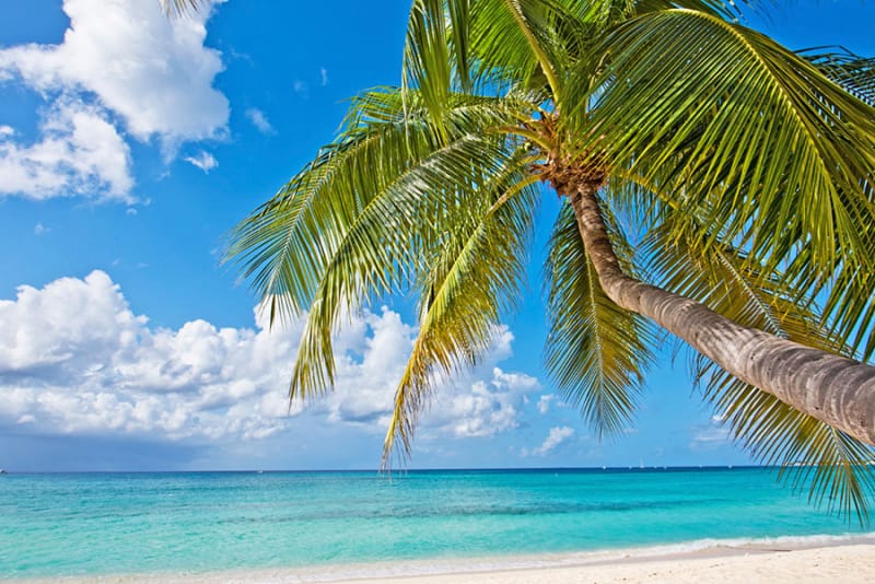 まさに絶景! Seven Mile Beach