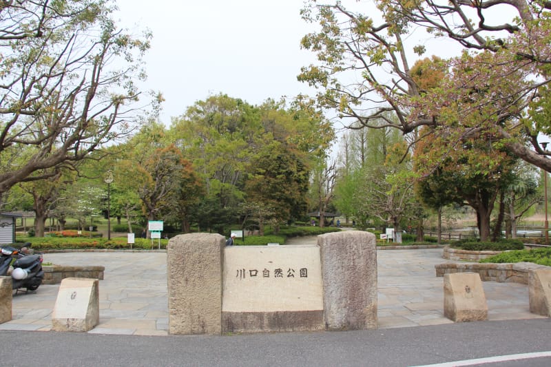 川口自然公園は自然豊かな住宅街のオアシス Tabiyori どんな時も旅日和に