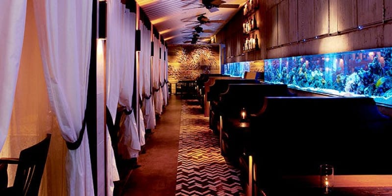 新宿デートにぴったりの個室レストランはここ 予約推奨 記念日対応okな個室レストランランキングtop29 Tabiyori どんな時も旅日和に