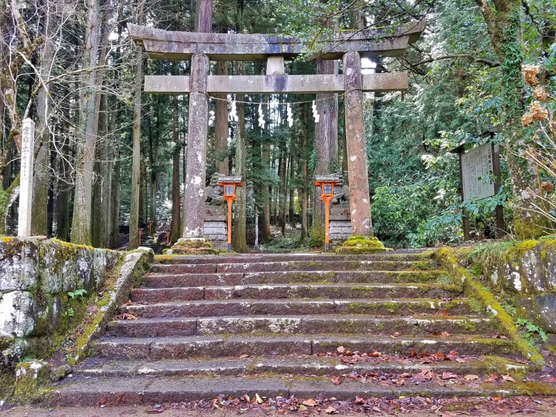 二岡神社はひっそりと佇む神秘的な雰囲気を醸し出す森の中の神社 