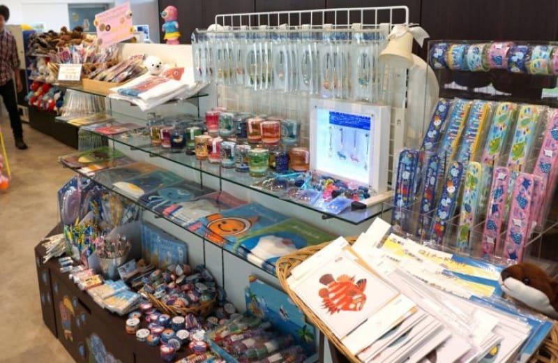 99911:お土産を買った後は、桂浜観光を