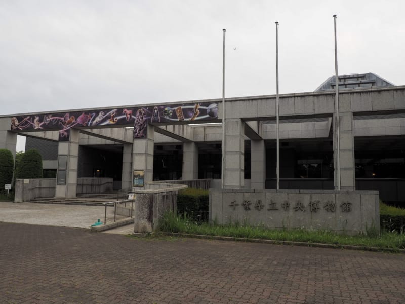 千葉県立中央博物館で房総の歴史や自然について学ぼう Tabiyori どんな時も旅日和に