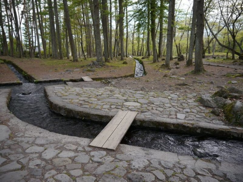 澄んだ湧水が有名・杜々の森名水公園