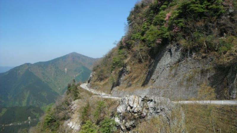 94334:日本最長の林道もあります